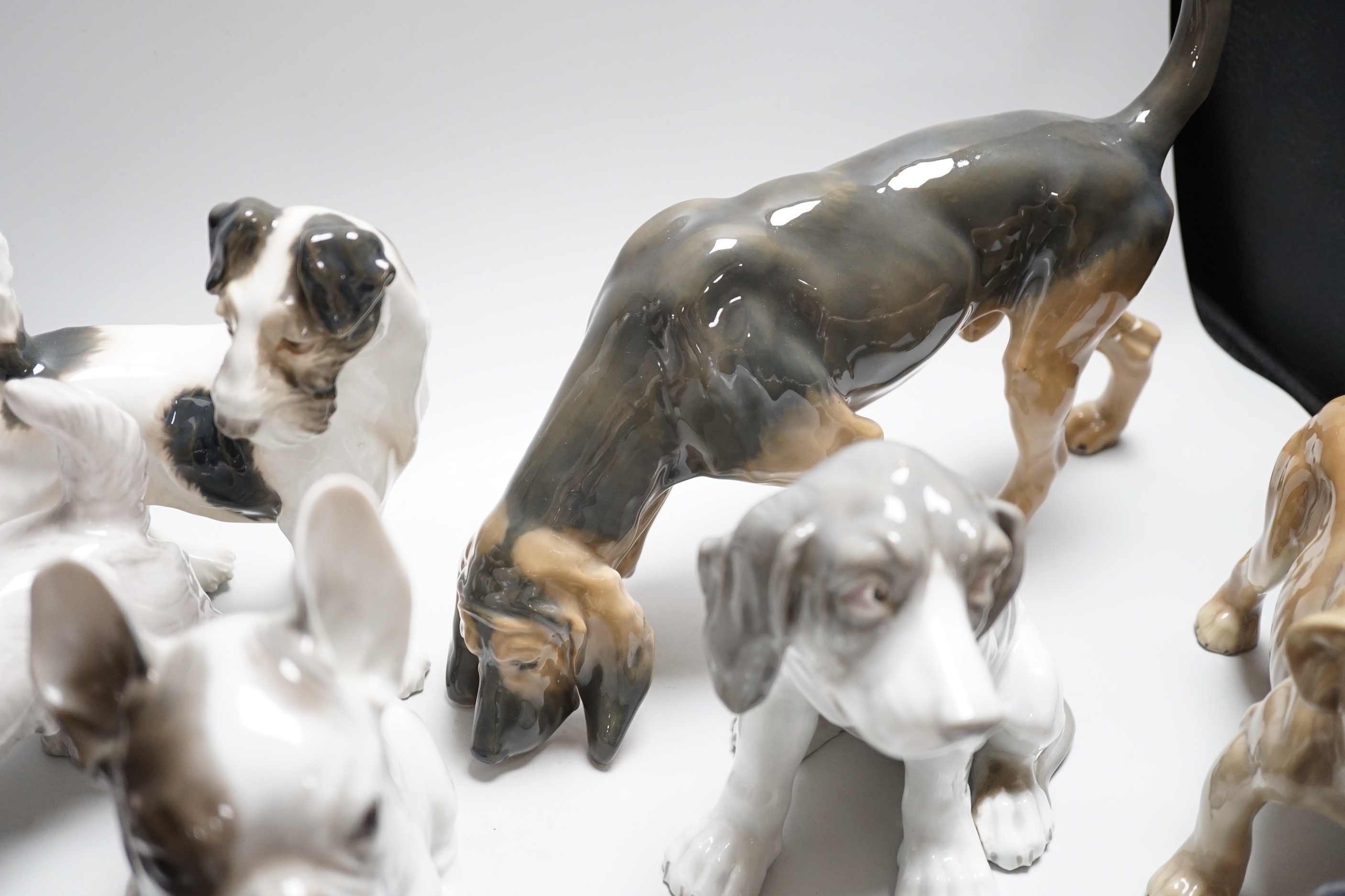 Nine models of dogs; Royal Copenhagen, B&G and Rosenthal etc including terriers, bulldogs, King Charles spaniel, etc, the largest 30cm wide